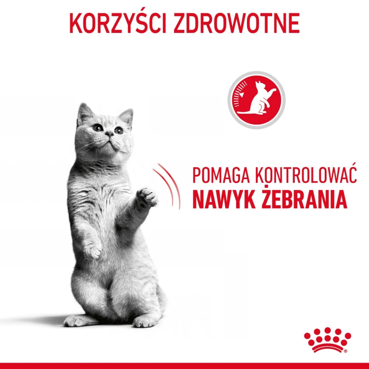 738ab2166e3272e9d77c115a5e63e8cf