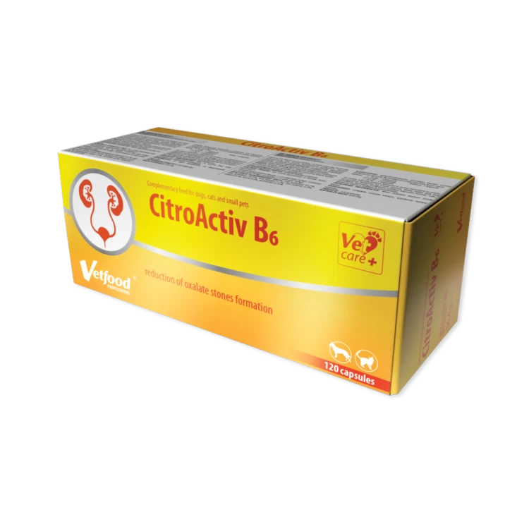 1ac58681287470cb817ce49d441db43f