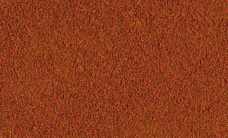 11cd19fd356a50f2e01842e90c02dedc