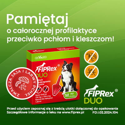 74e23f6d12d4753362dab64f37914935