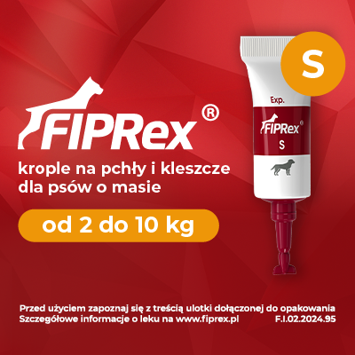 cad96e0a73cad8388027f4c9713ba131
