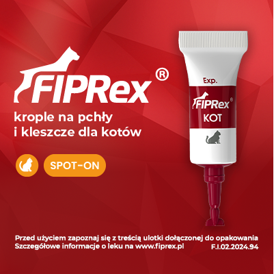 005869317ef66b1d810c39808fea91e7