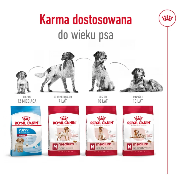 39a762bb7e48e6a6b3891b327b9342a1