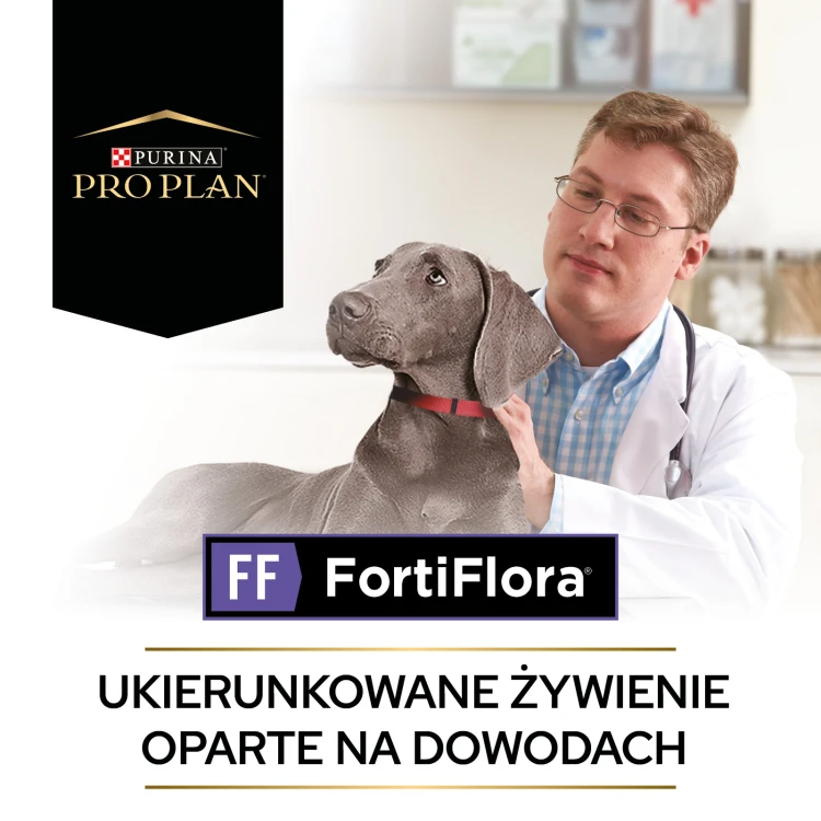265729304e27e9a6f1a53ec13417e8e7