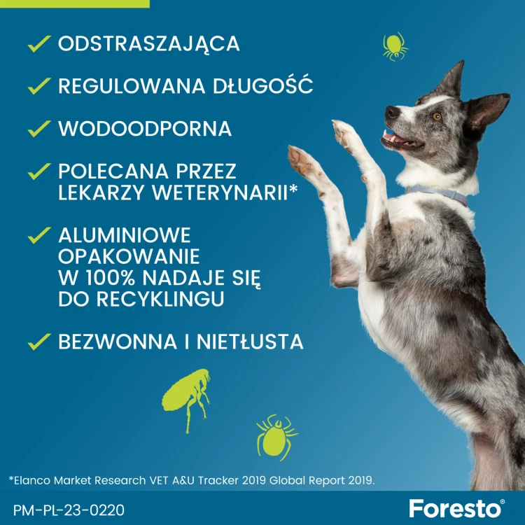 db0310be5c4e16e84c7a8ca4d661c437