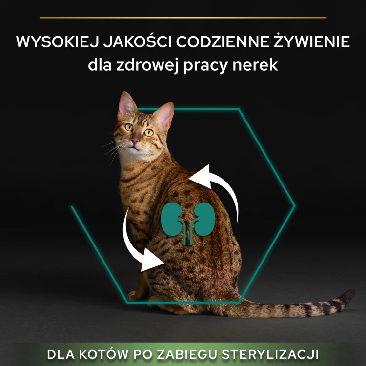 640483d3b52b93614902ae30ede23958