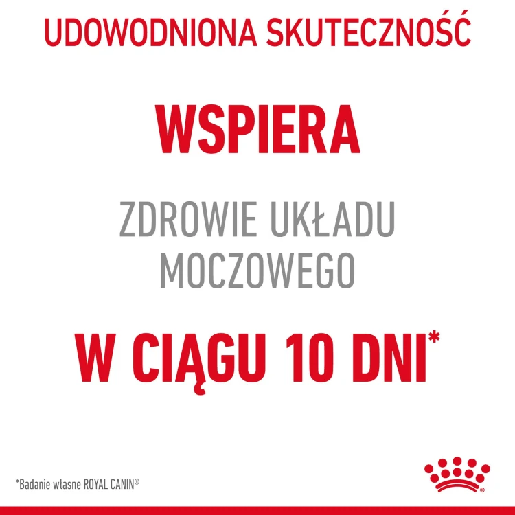 3fc3f85e1caa06e3019f7c29f5d4b453