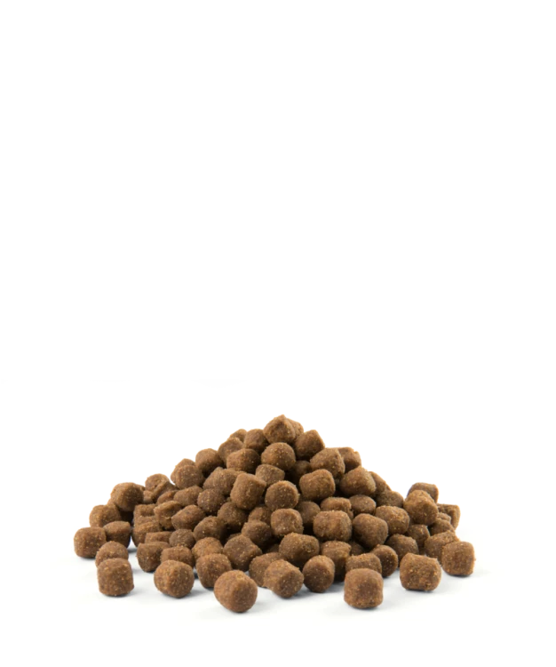 82ba64ca63394c49596f50874883cc7d