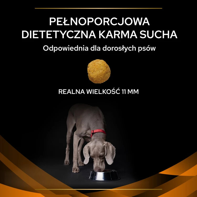 23e04c0d18355fdc7f6c42b36f55a84a