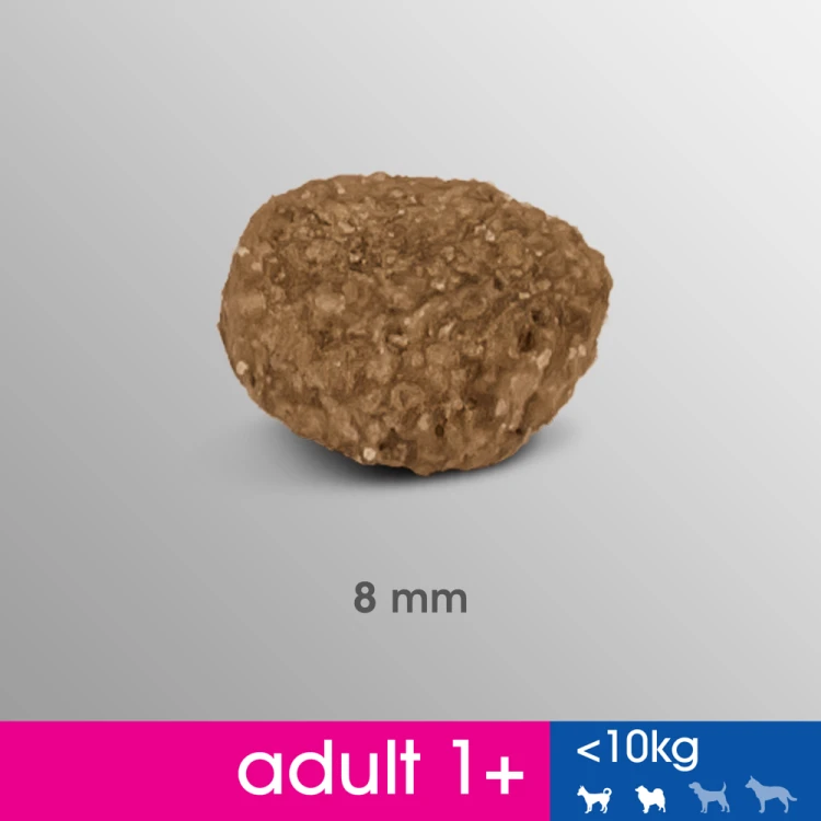 12b3d7a71fa5009d1e76ca7ac6b1e26e