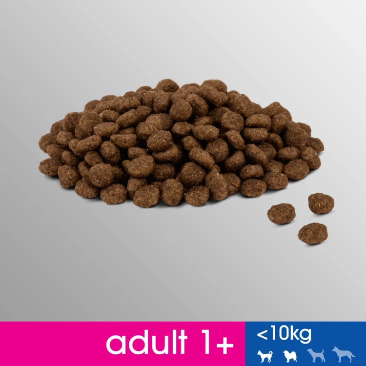 5e4cc788a4c28afd0a7c312fb97bbc05