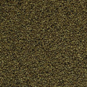 fe82ba3970b6aa9efcab383be90f3f9f