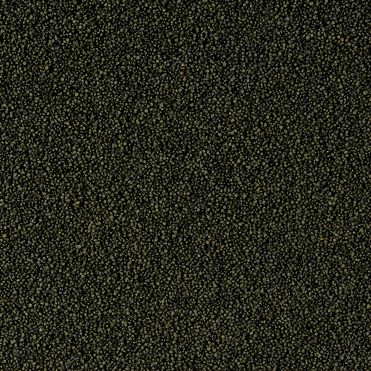 e479792685883b883d4951fbebb1892c