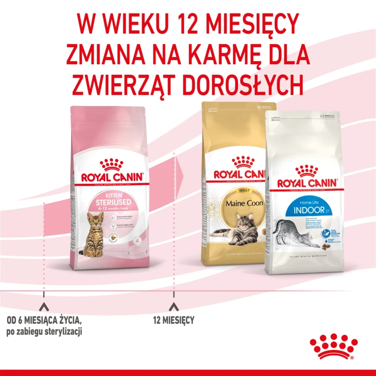 2ee56ed3668ec0eca4764ceea35a5fa0