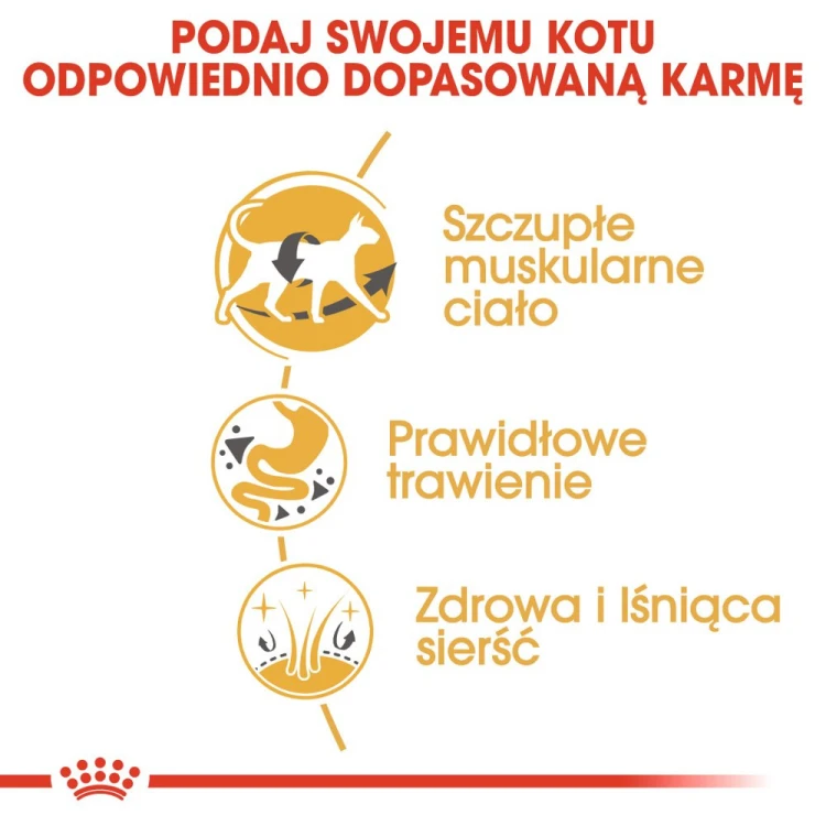 036ccbc5880353e2d29c598696a9e6f9