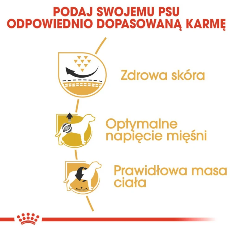 6ef020f1ee223da8947f09d02872b9d3