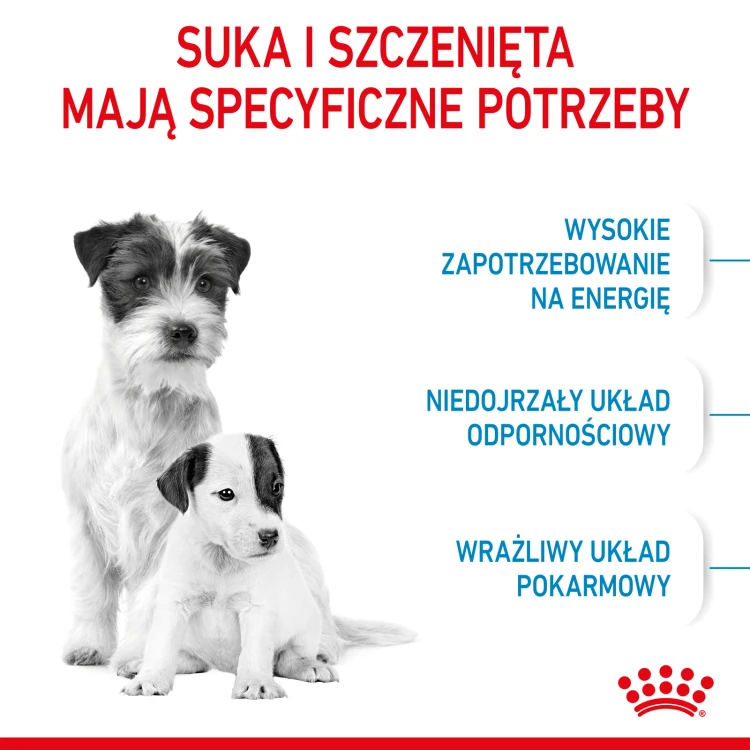 7eccd8a342f329b98555b7d2e0c87ea8