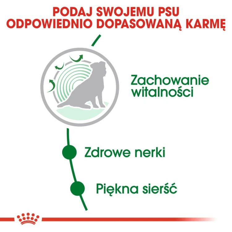 e0c46382154e542d16cc605b74fc8b9d