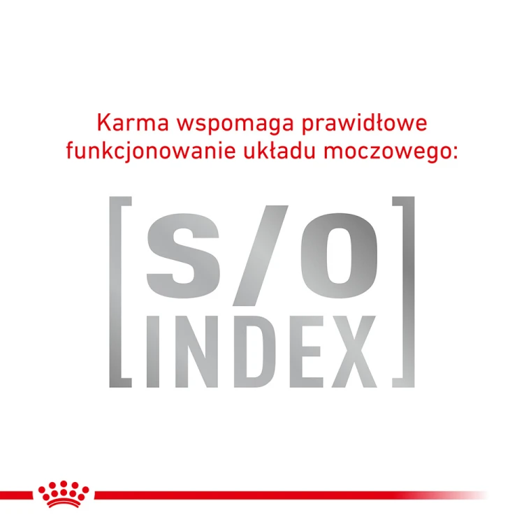 e723b20f54f0c7d98979343593424cad