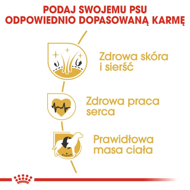 7849c90612b01bf923f146b62aae51e3
