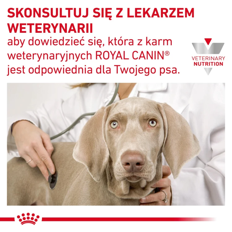 b4147b43c93c9e16f269de1db0d2ef1a