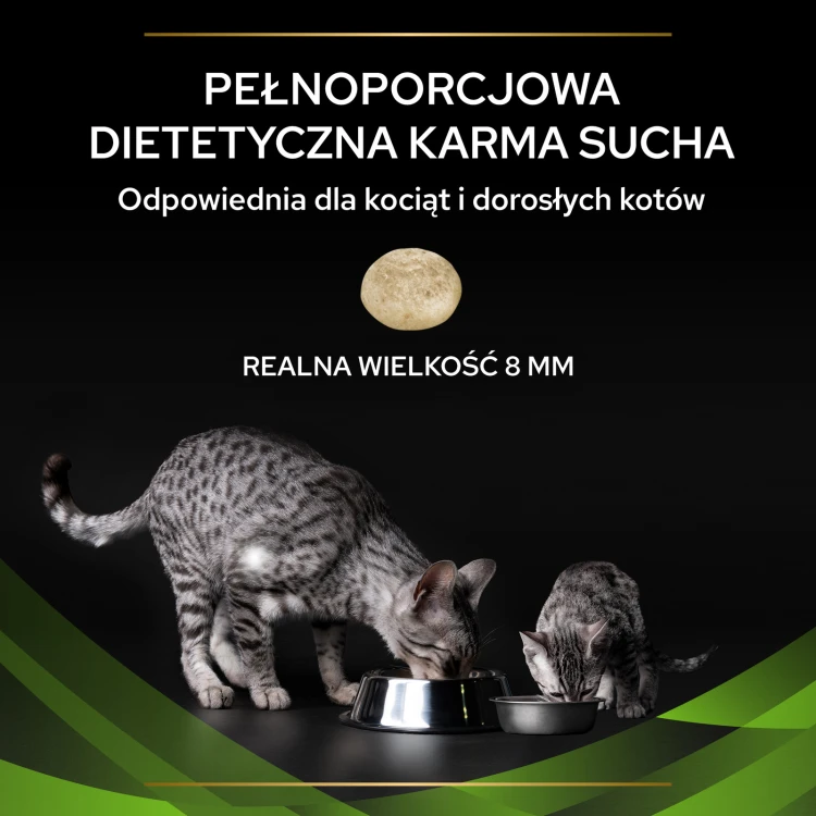 c8cdbde5c92d75936dca3b3f51b6b5cc