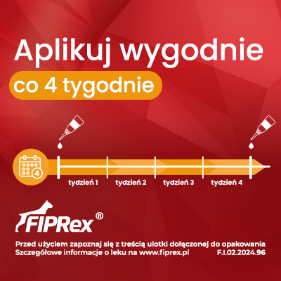 4013ba638fb36eabd1f7ff4cbd0ec166