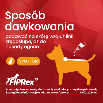 3e0865b87c435286fc7a04602ff99670