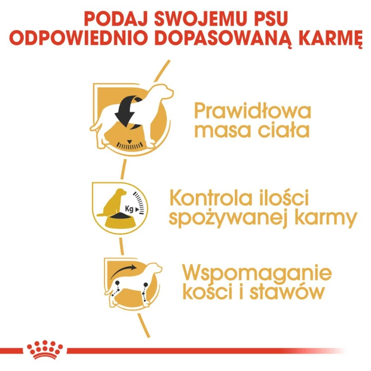 24dd34d737bd656cbd2093368411c6b1