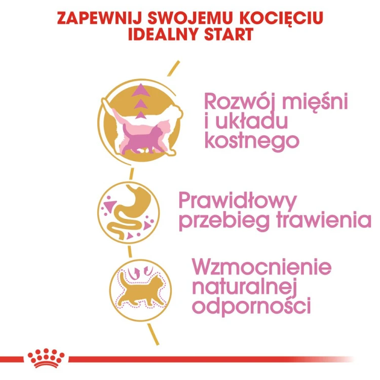 116ef8d55fe1abcf4b1c6bd7bcef0434