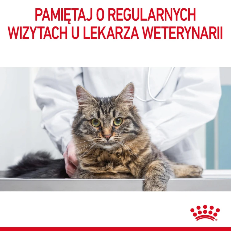 bbaf52ec5df94a91936187944aedc0d0