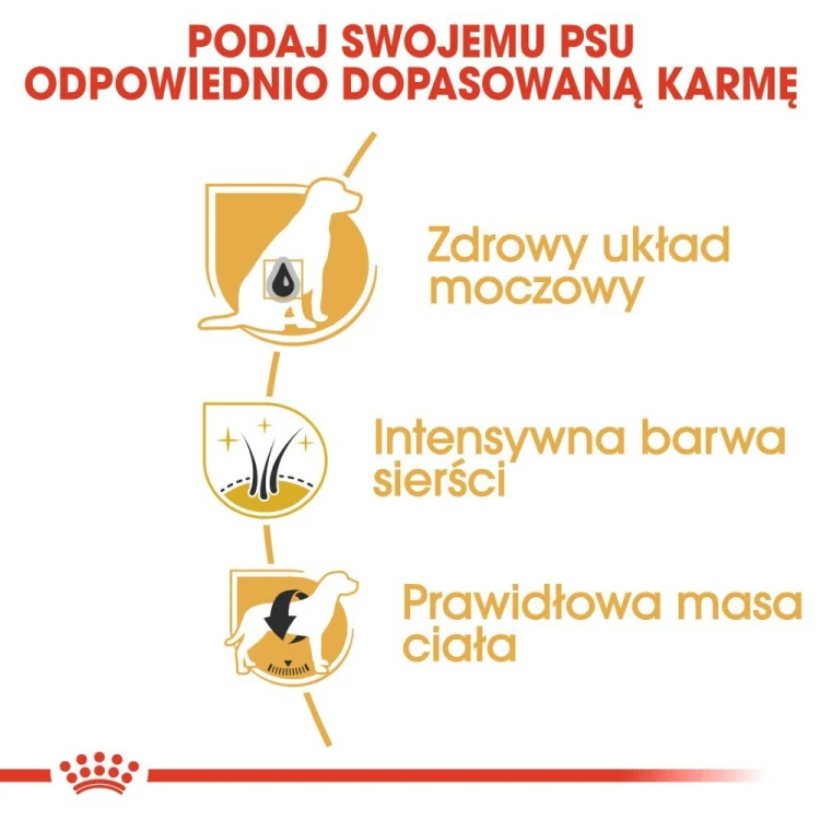 f2a8eb9e0923d31b49f0313b12c6309d