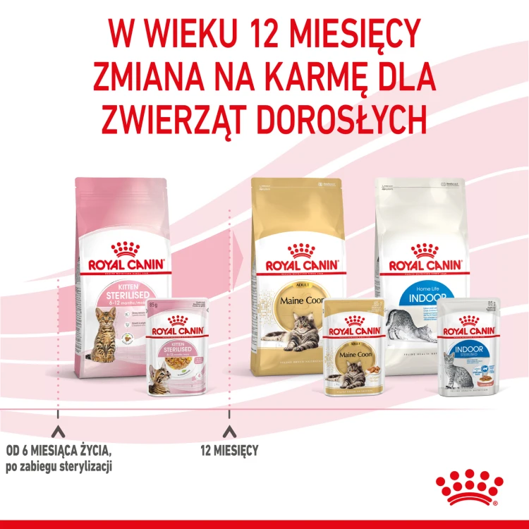 593840cdcd95957d4d61b24e2cf9a041