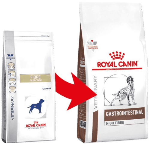 51b3531b4cf9d2e7018cf72421afcaea