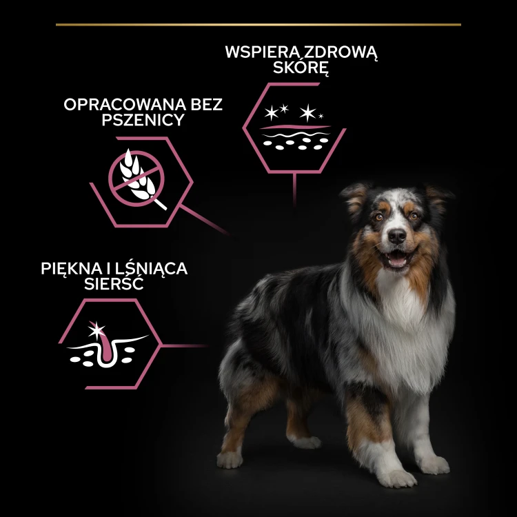 07df448cd6363f8a048a97134d0f9700