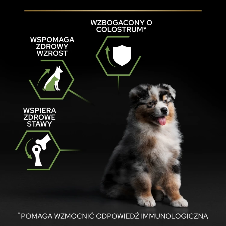 797a957a4885fa1effbddb4b26123523