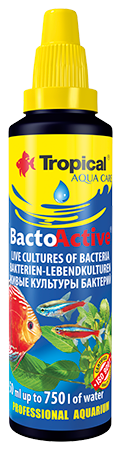 6fedf31be5593de5d5330761465c755e