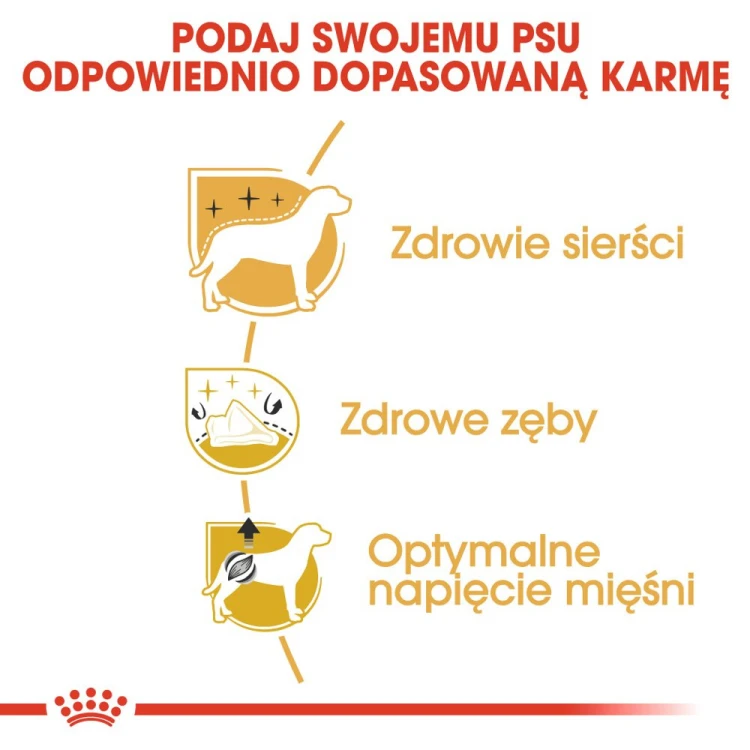 5e0dc780fee2f41f52cf906193cca14d