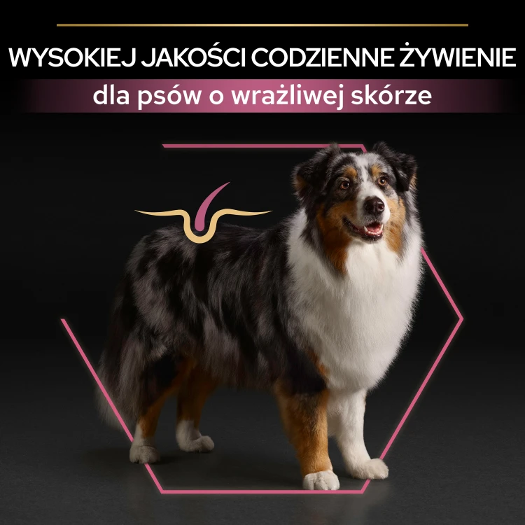 765cd10899df79fd01fa5e804d9a033b