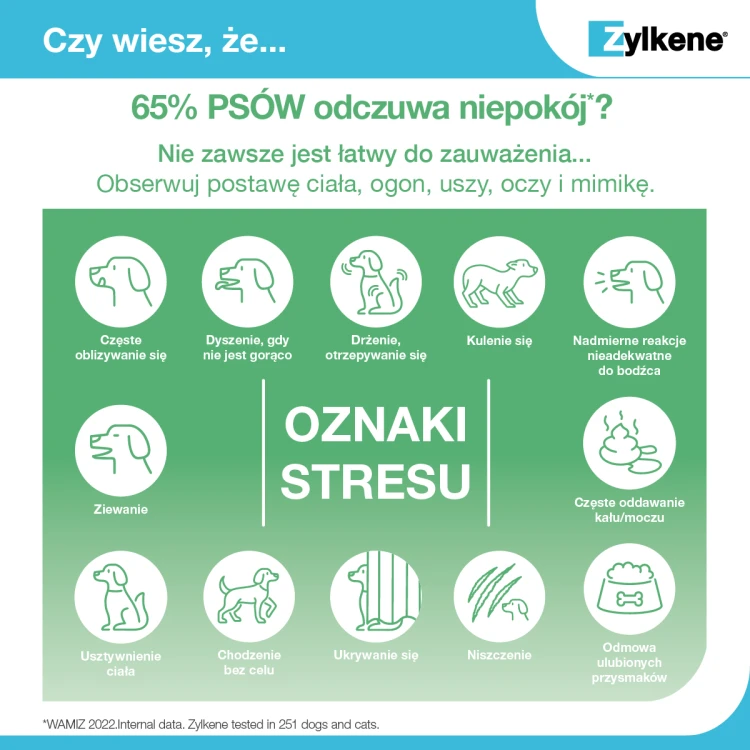 12ca253831f7088eac64f72a1bd86b80