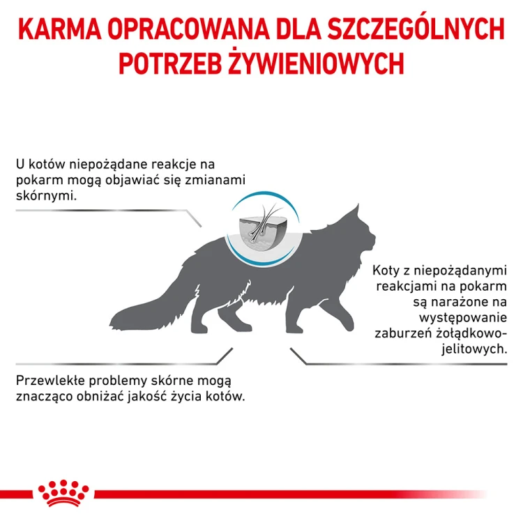 7263f01be07736b7b26daac675f2e508