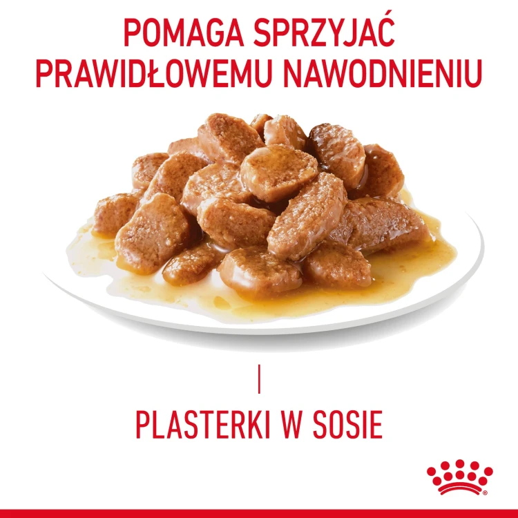 f54b6881277447f87029bf7c90b1144c