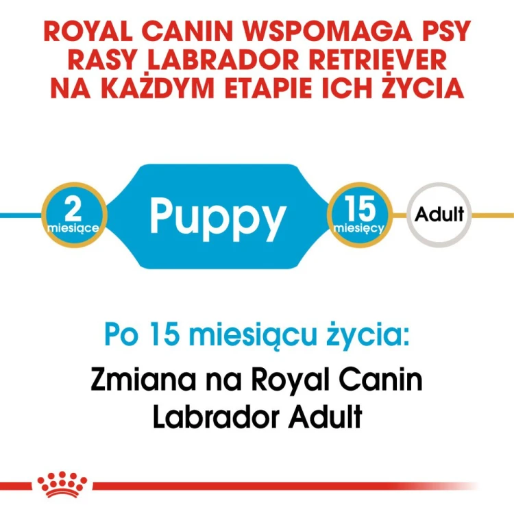 56b3f330ee9576b6ce5ab37915de947b