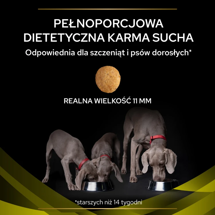 706571acd5f0afa7bd5af8f542d44b9a