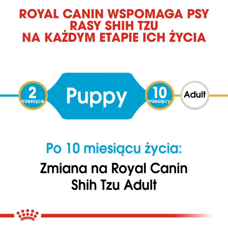 c51859a03e48e5f4e885e6fb9beadcaf