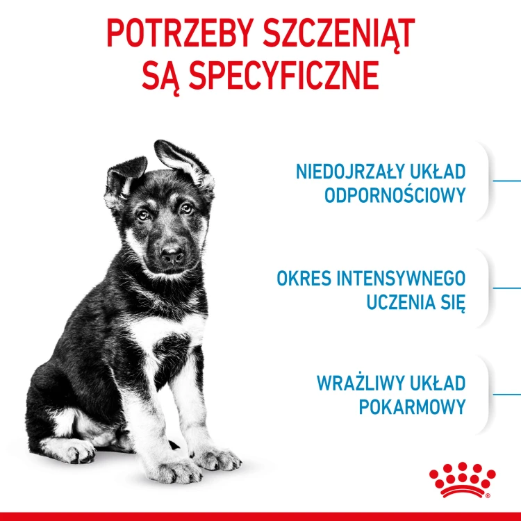 1a3e2f8623eaa1b321a77783ea1f380d
