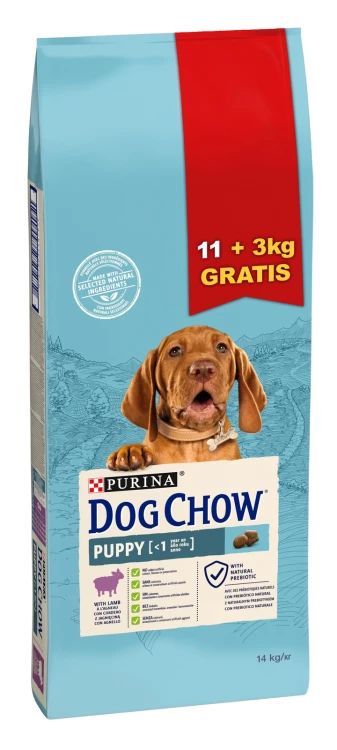 5dd8cf5a0a1cb5880d5a5f5f307c7c4a