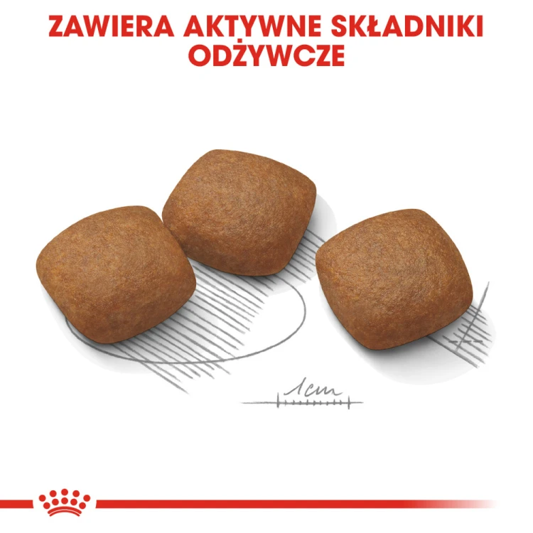 ee1e2b3244b0cd792e22026d377f65fd