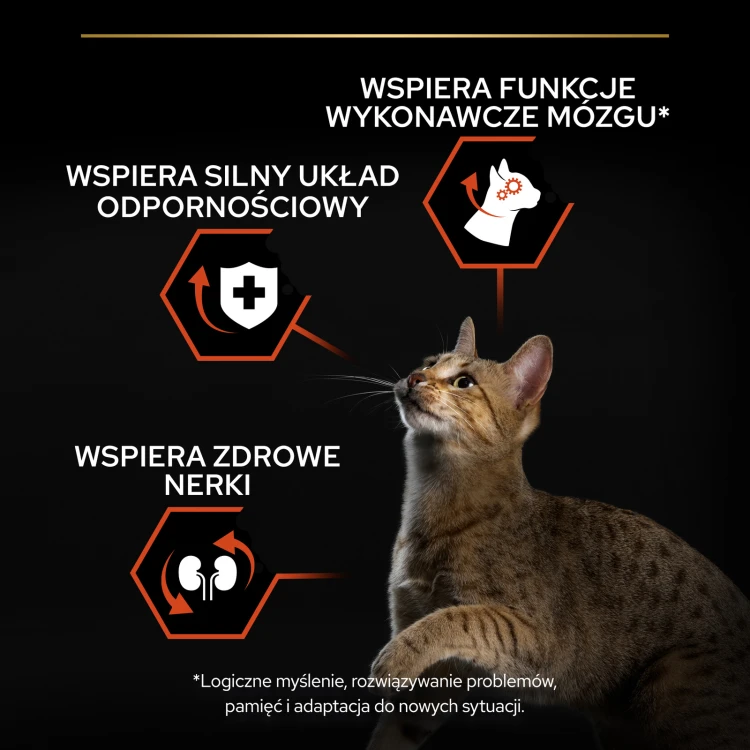 f8e4ecc6f080b1c7cf76edf5e18040be