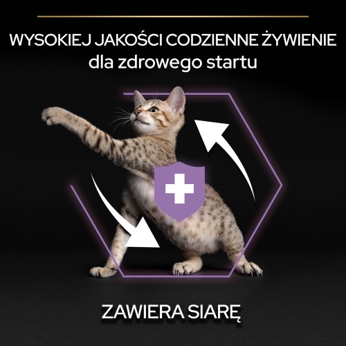 2c4d2a184d0b9e623e43b72979a21363